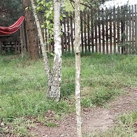 Ajurweda Na Jurze Agroturystyka Choron Exterior photo
