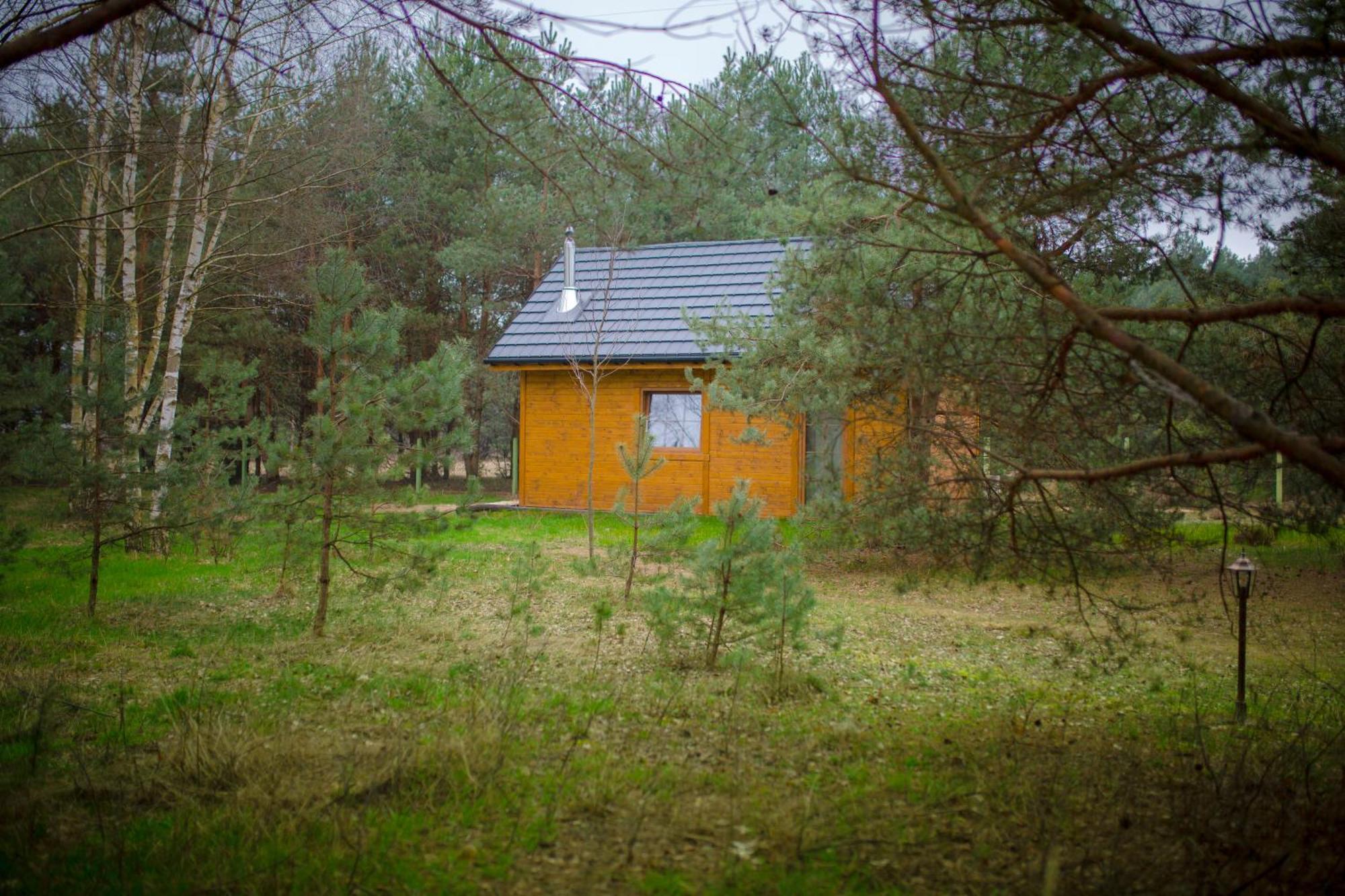 Ajurweda Na Jurze *